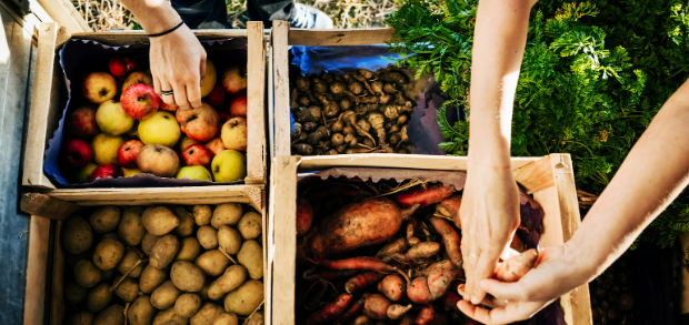 Restaurant owners buying locally sourced food